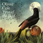 OLIVER COLE - Year Of The Bird