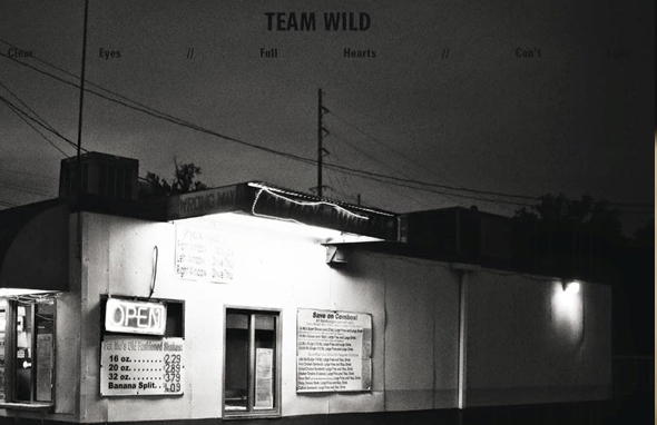 TEAM WILD - Clear Eyes, Full Hearts, Can't Lose (2016)