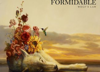 THE JOY FORMIDABLE - Wolf's Law (2013)