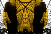 AUSTRA - Feel It Break (2011)