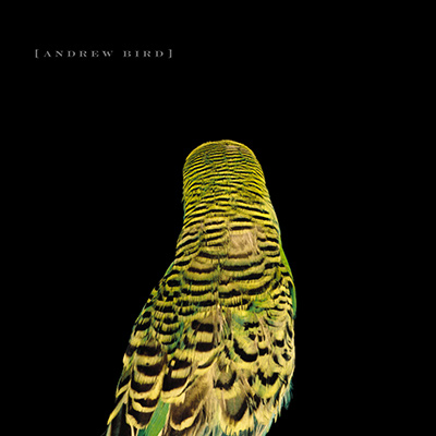 ANDREW BIRD - Armchair Apocrypha (2007)
