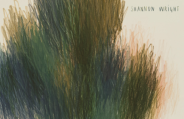 SHANNON WRIGHT - Division (2017)
