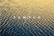 TAMPLE - Summer Light (2018)