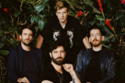 Foals