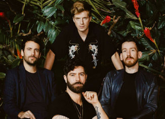 Foals