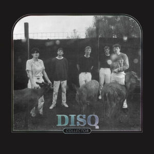 DISQ - Collector