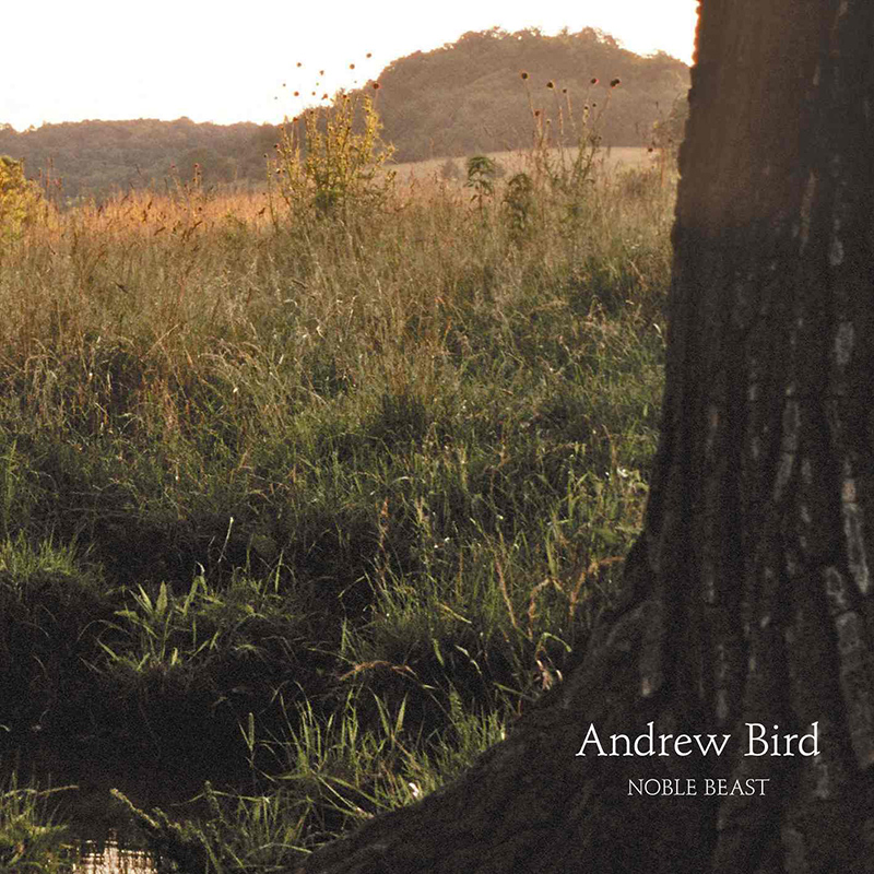 ANDREW BIRD - Noble Beast (2009)
