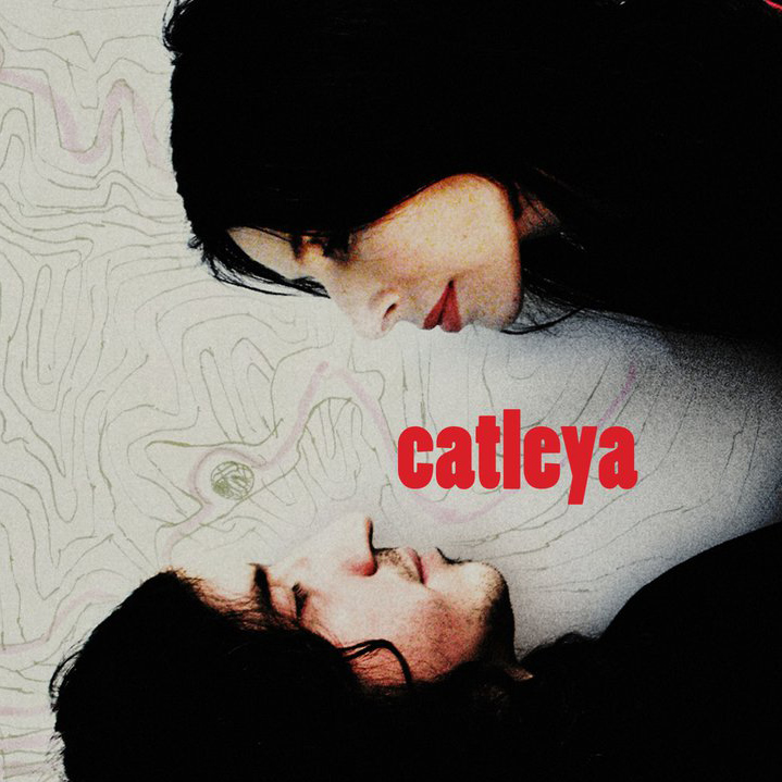 CATLEYA - #2 (2010)