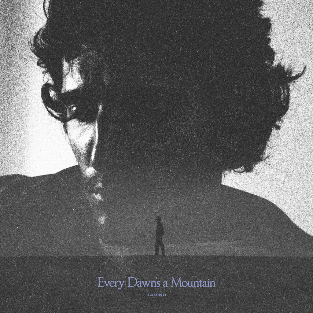 TAMINO - Every Dawn's a Mountain (2025)