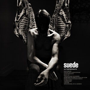 SUEDE - Antidepressants (2025)