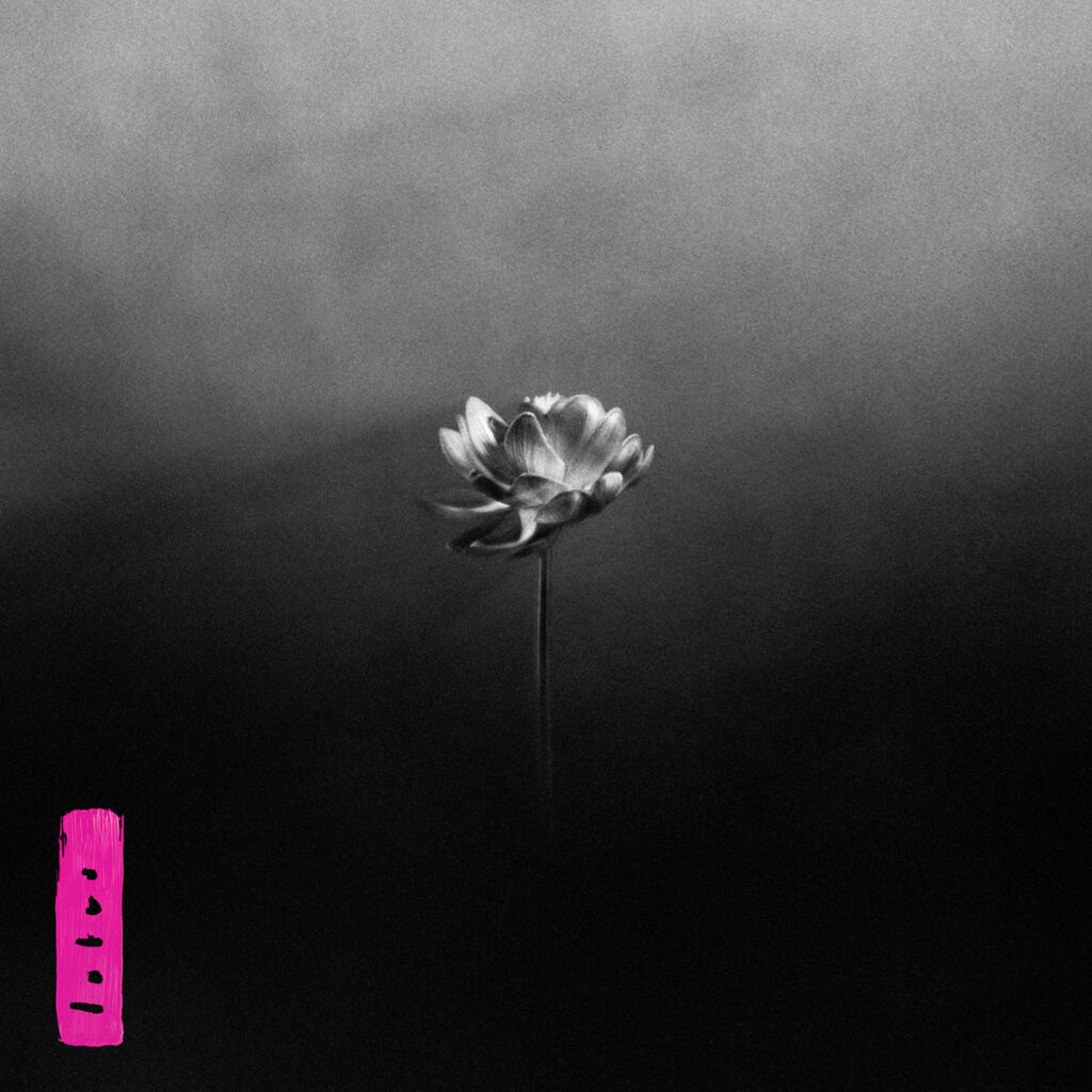 LITTLE SIMZ - Lotus (2025)