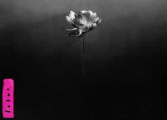LITTLE SIMZ - Lotus (2025)