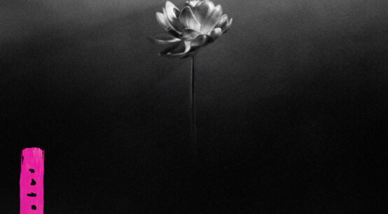 LITTLE SIMZ - Lotus (2025)