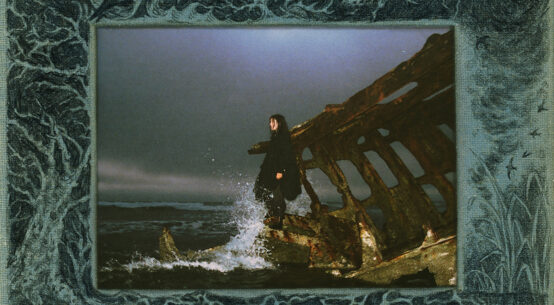 SEAROWS - Death in the Business of Whaling (2026)