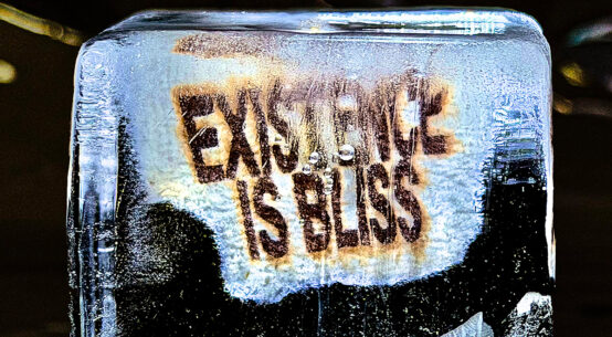 DEADLETTER - Existence is Bliss (2026)